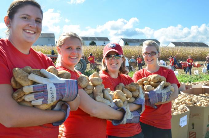 Volunteers show off potatoes they've gathered