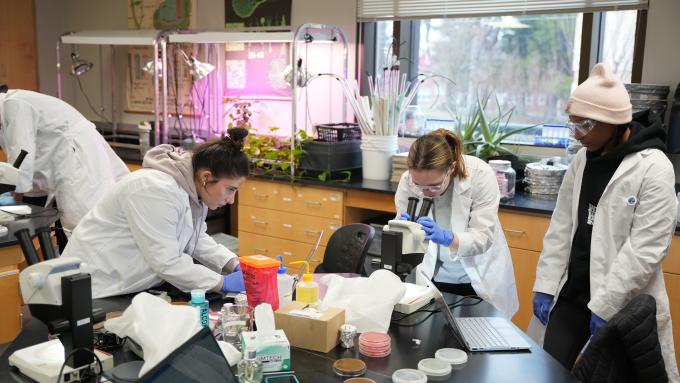 Students in a biology lab at Alvernia University.