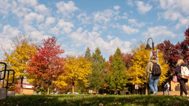 Alvernia's campus in the fall.