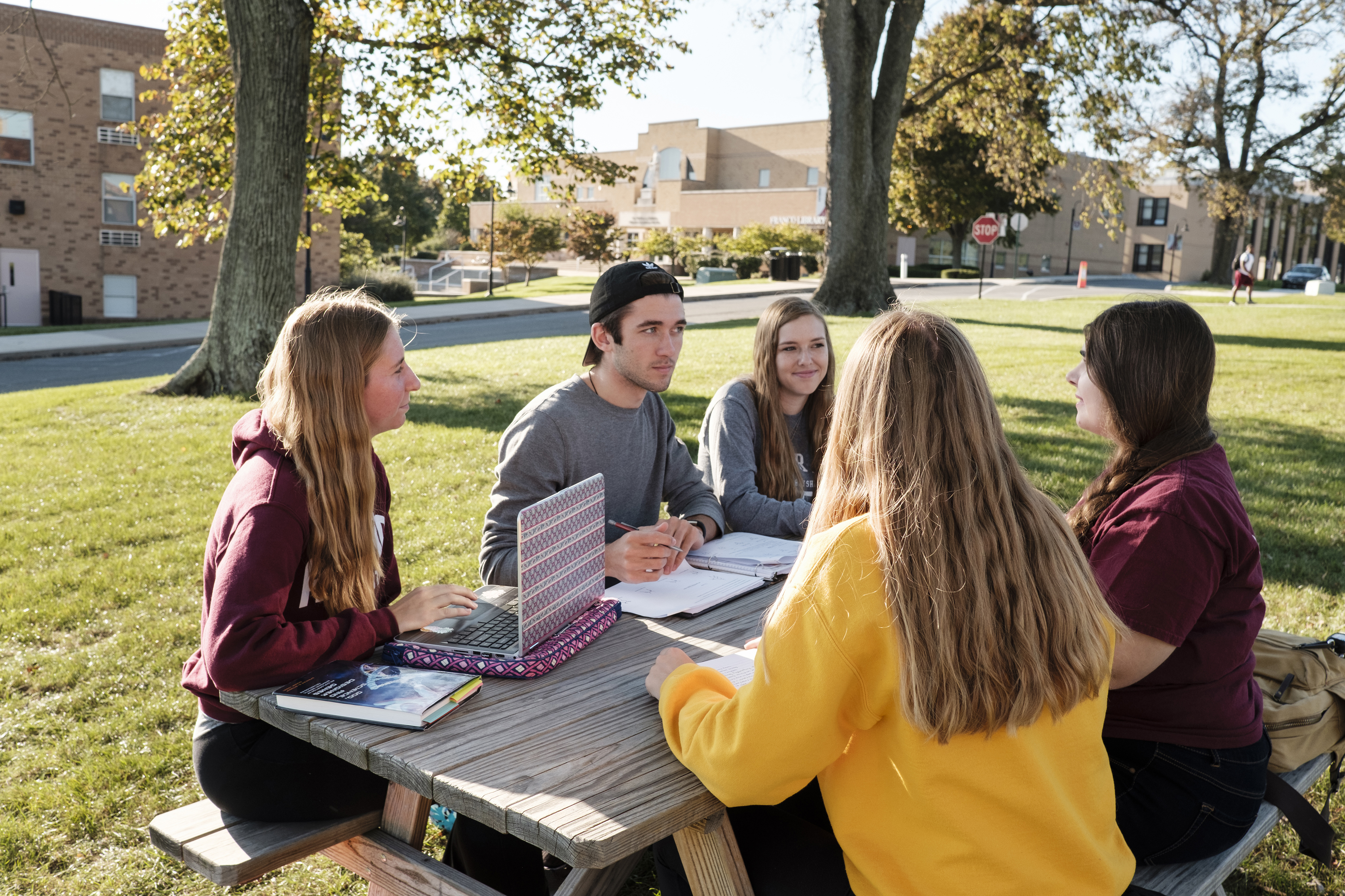 Students studying together at a picnic table