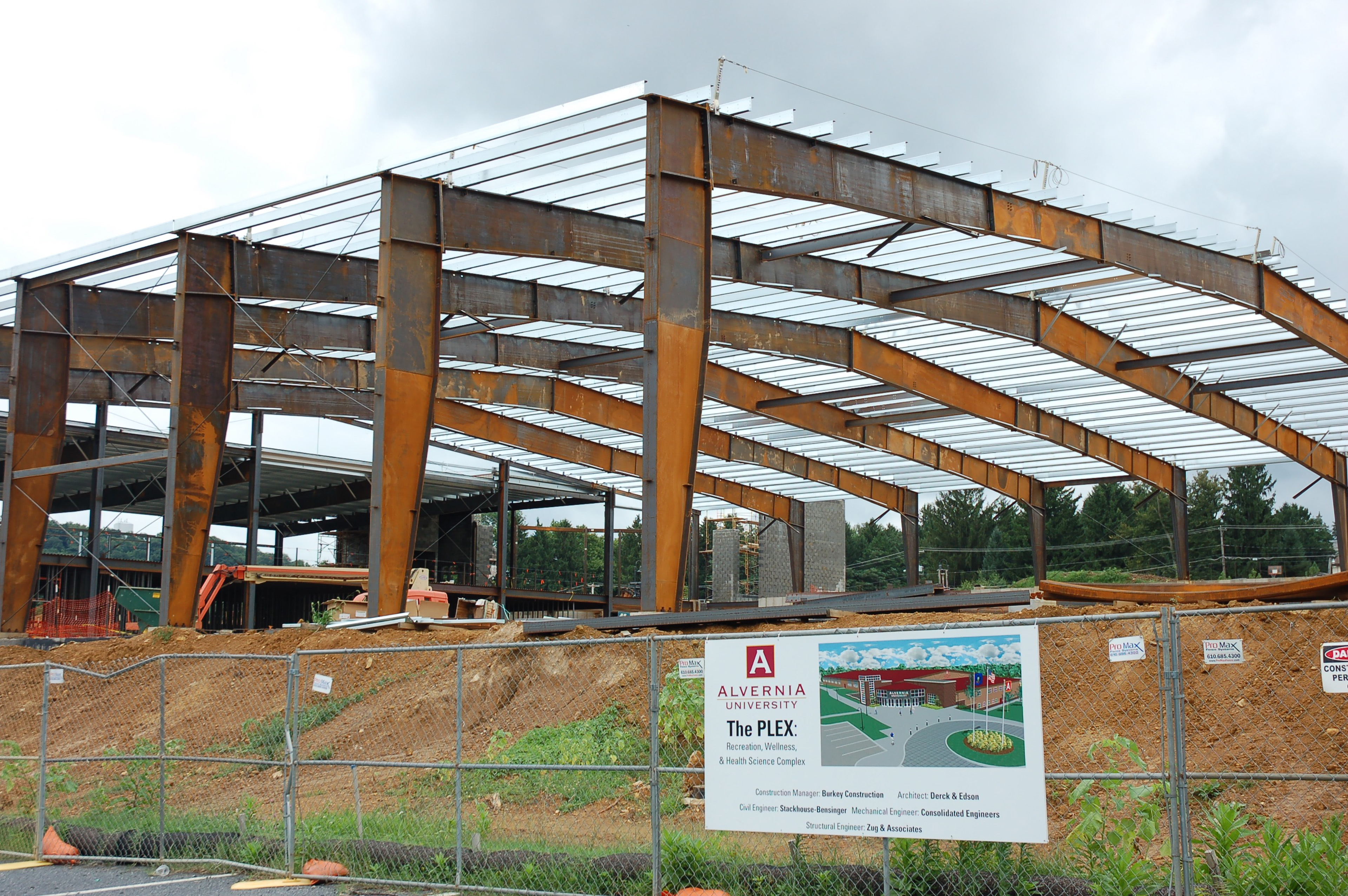 Construction of the Plex