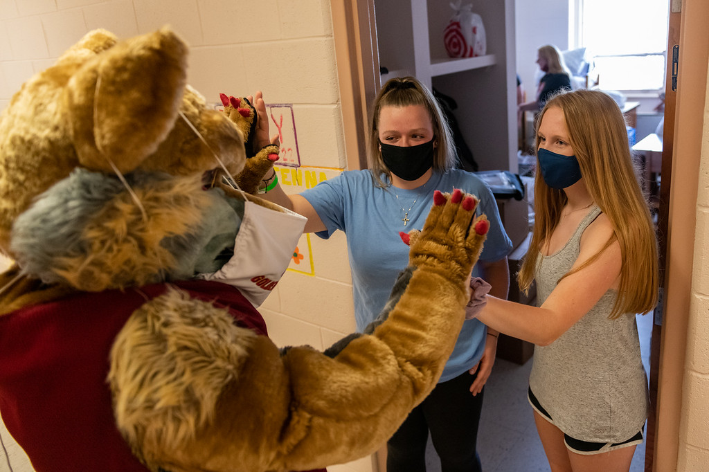 Masked students and wolf