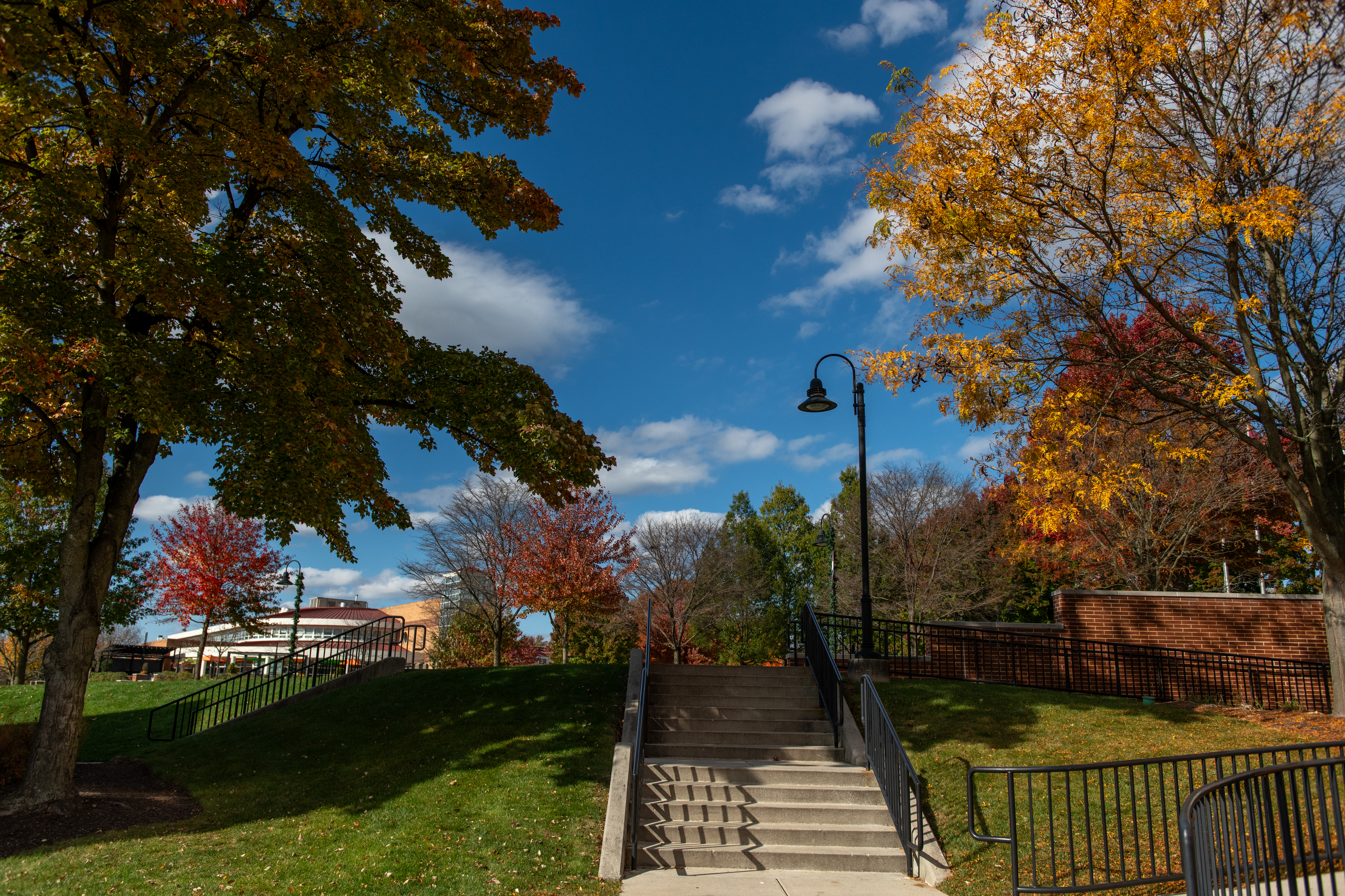 Campus beauty