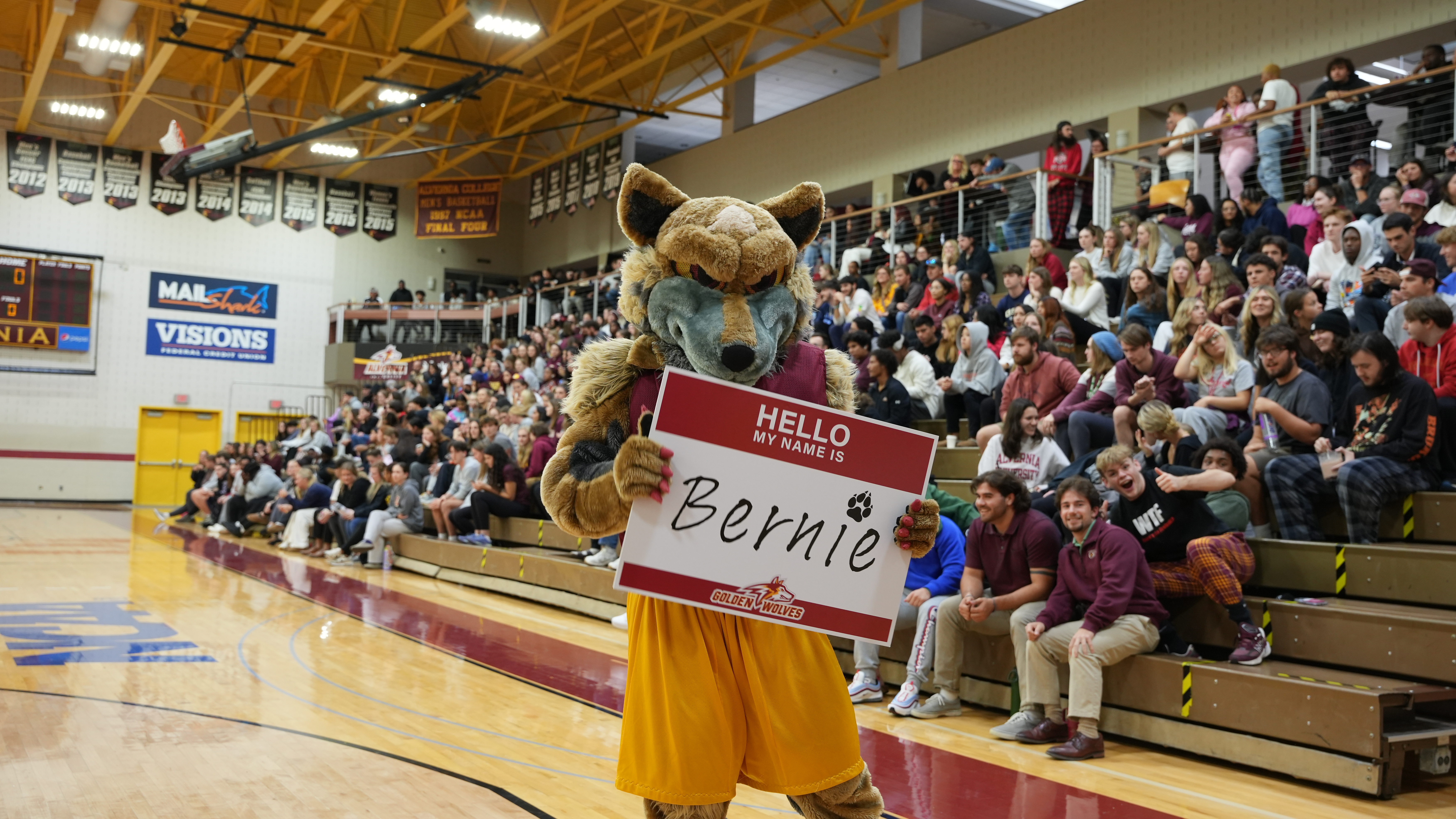 Bernie mascot name reveal