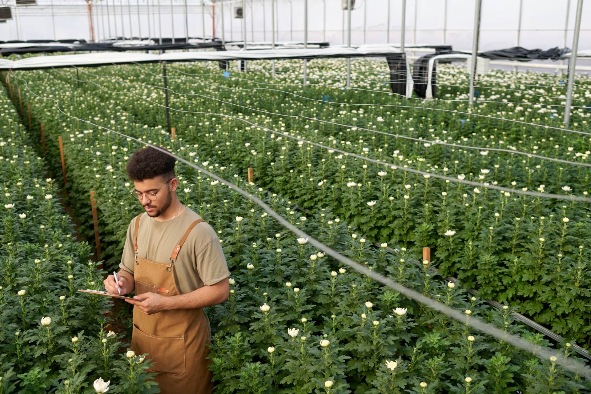 Alvernia University Cannabis Academy