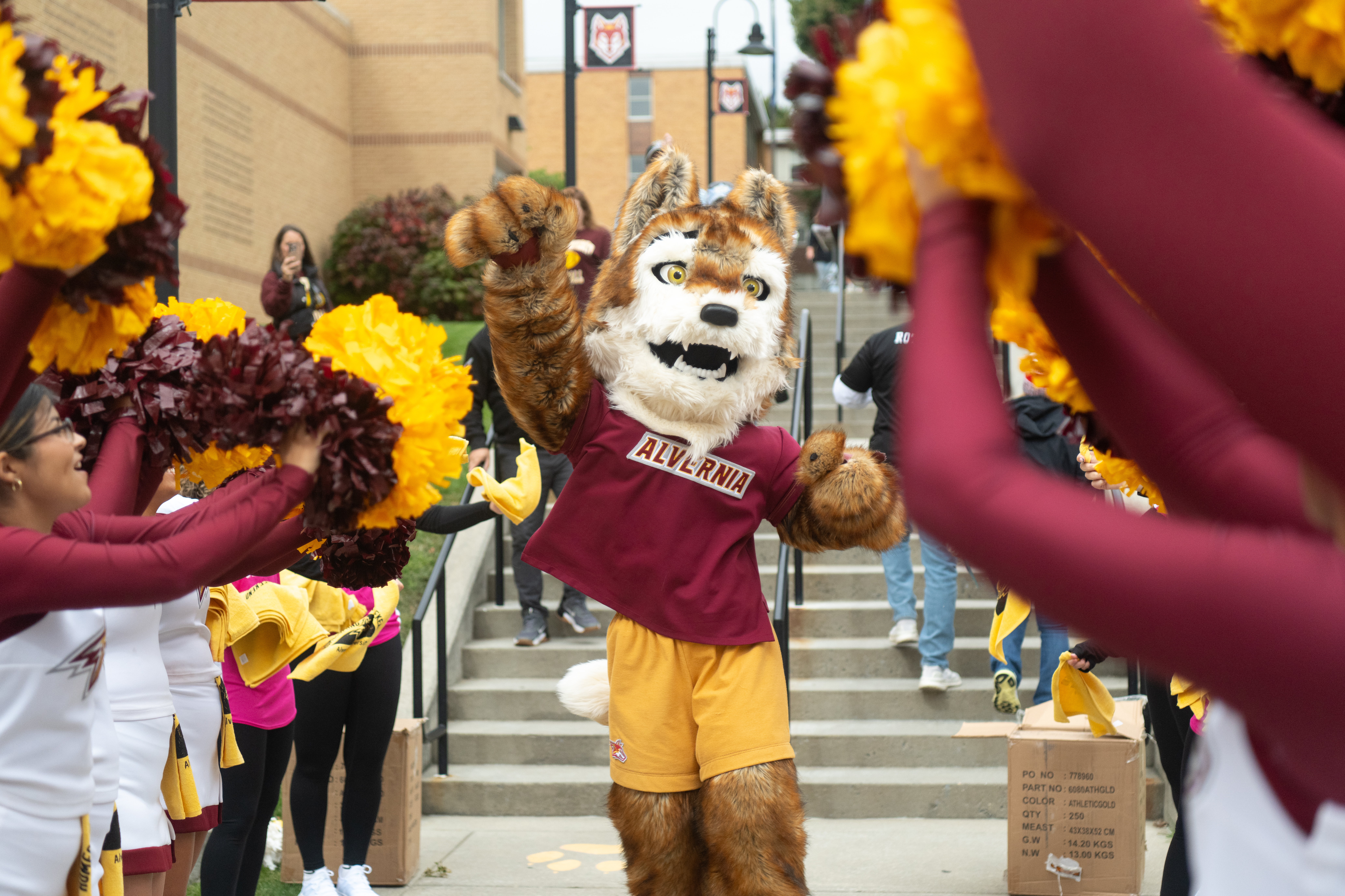 Bernie Homecoming 2025