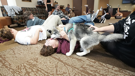 Puppy Yoga 2024 Homecoming