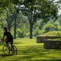 Bicycler in Angelica Park