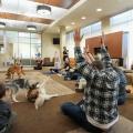 Puppy Yoga at Alvernia's 2023 Homecoming.