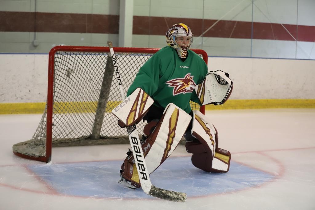 Alvernia Women's Hockey Goaltender