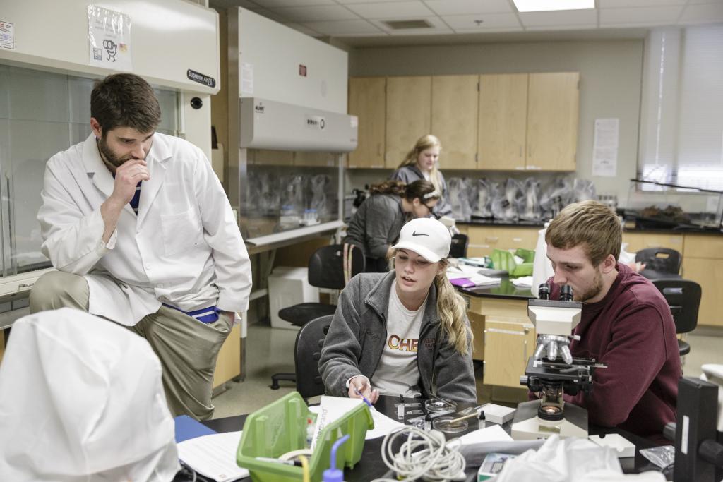 Professor Eric Recktenwald assists biology students.