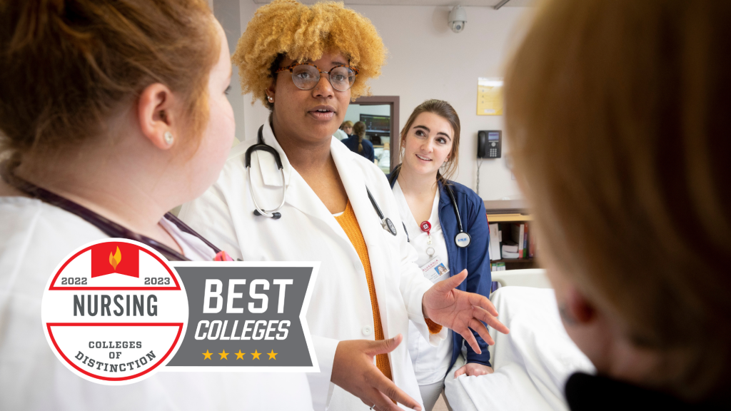 Alvernia Nursing College of Distinction