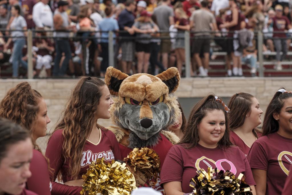 The Golden Wolf at Alvernia's first football game.