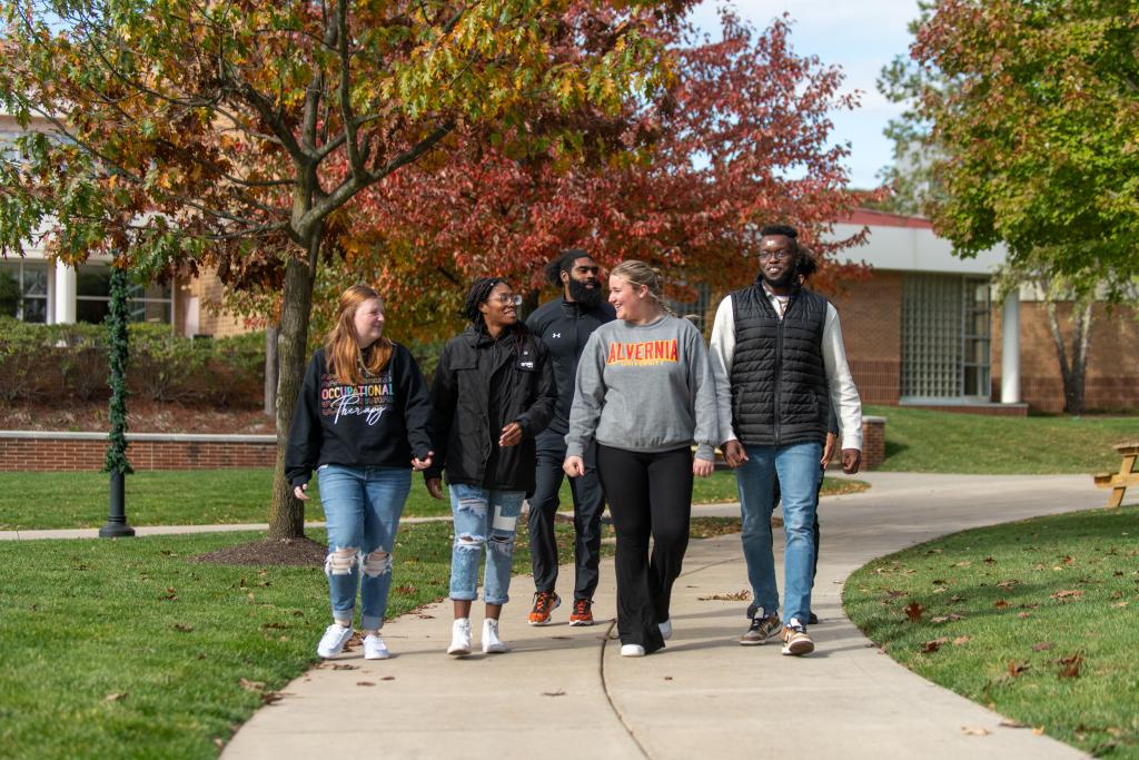 Students in the fall on campus.