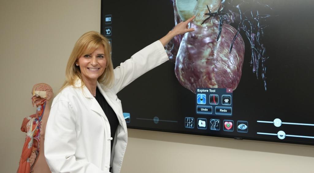 Alvernia University Physician Associate Program Director Renee Langstaff demonstrates virtual dissection.