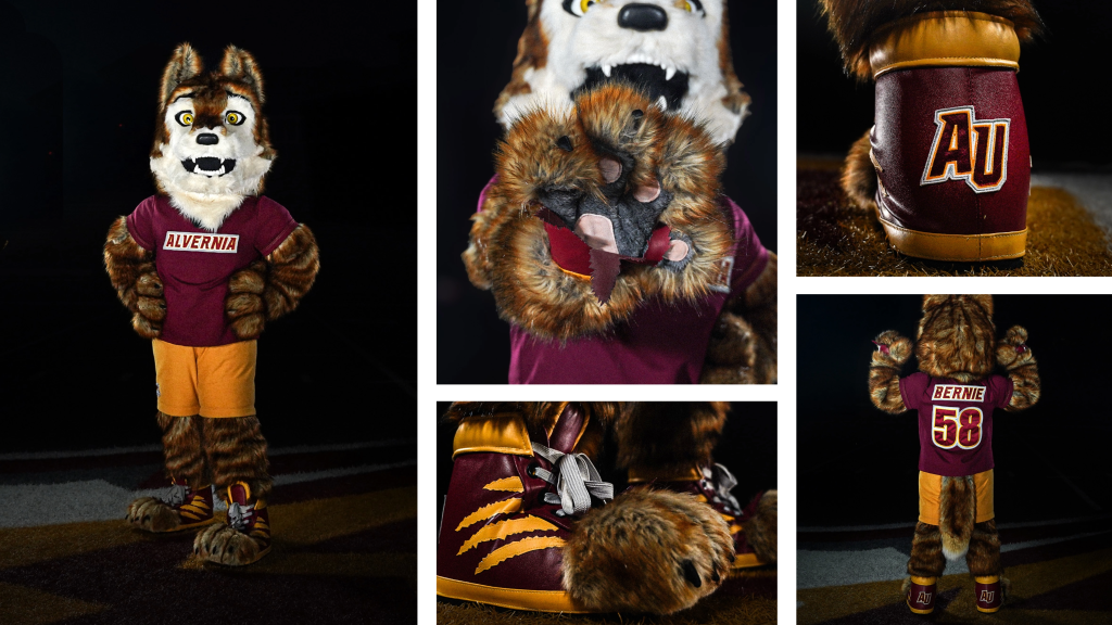 2025 Mascot Uniform