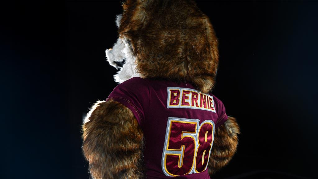 New Golden Wolf Bernie outfit