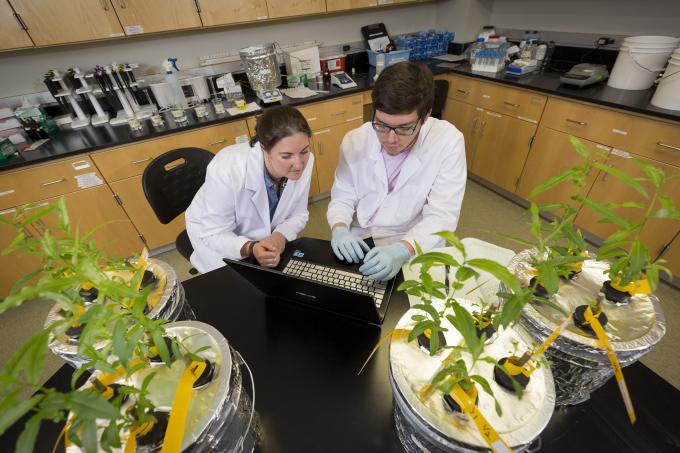 Student and professor work in botany lab