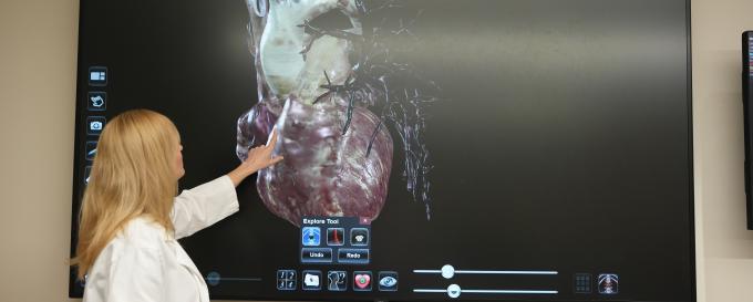 Best Degrees for Becoming a Physician Associate