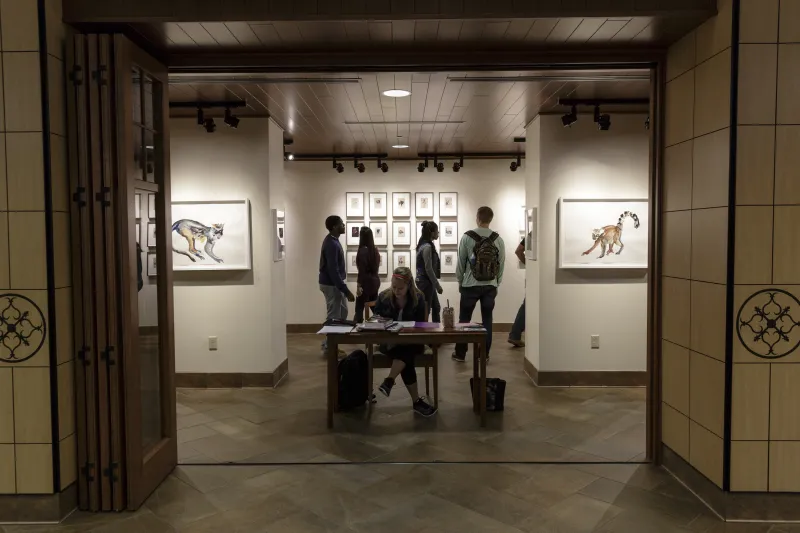 Miller Gallery 