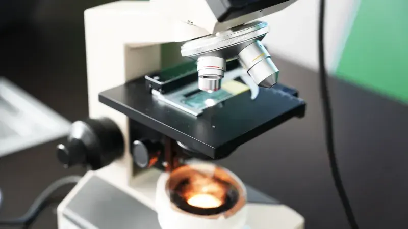 Total Experience Learning student workshop