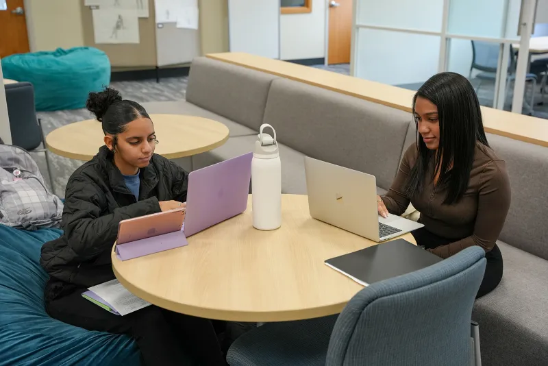 Students studying library