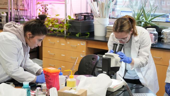 College of Science, Technology, Engineering, Arts, Mathematics hero | STEAM