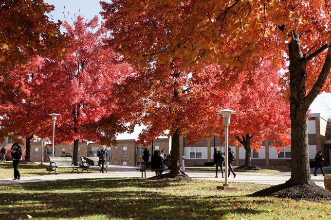 Campus in Fall