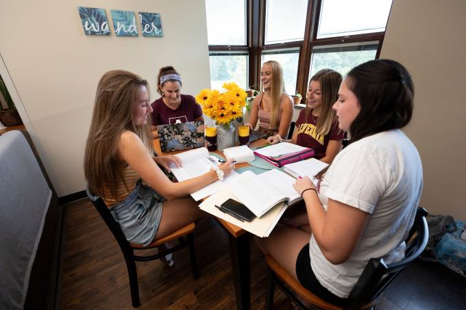 Students studying