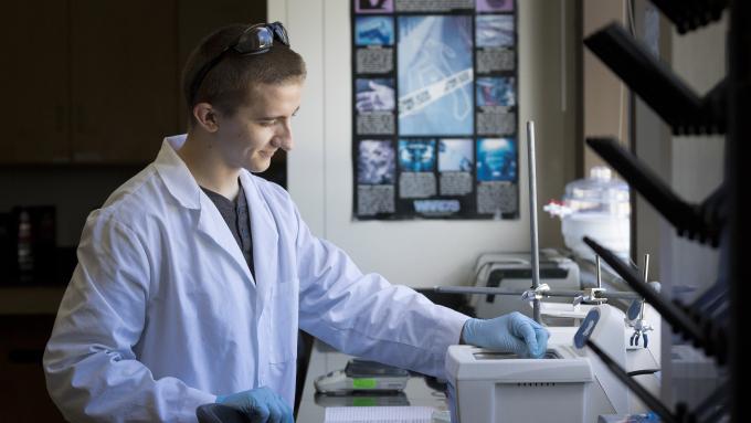 Student works in chemistry lab