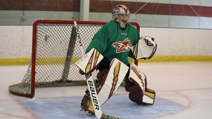 Alvernia Women's Hockey Goaltender