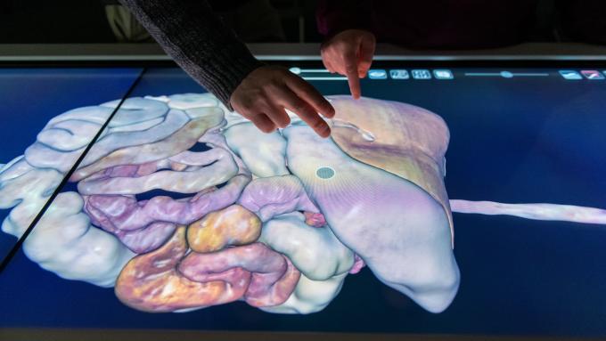 Virtual dissection laboratory table