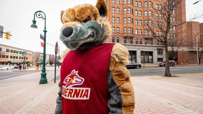 Golden Wolf CollegeTowne