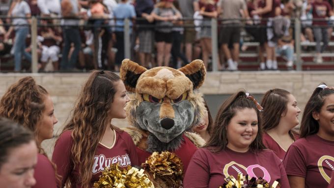 The Golden Wolf at Alvernia's first football game.