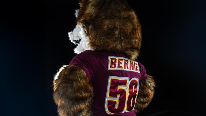 New Golden Wolf Bernie outfit