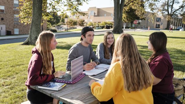 Students studying together at a picnic table