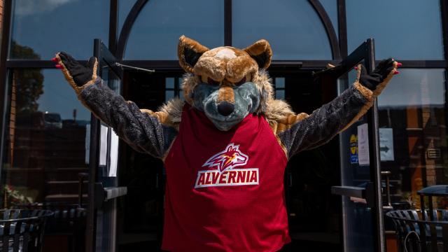 Golden Wolf welcomes you to Alvernia