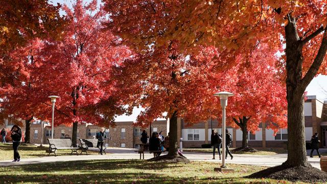 Campus in Fall