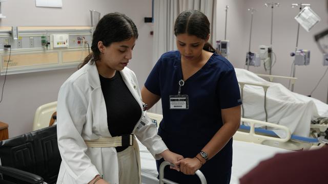 MSN nursing hero image
