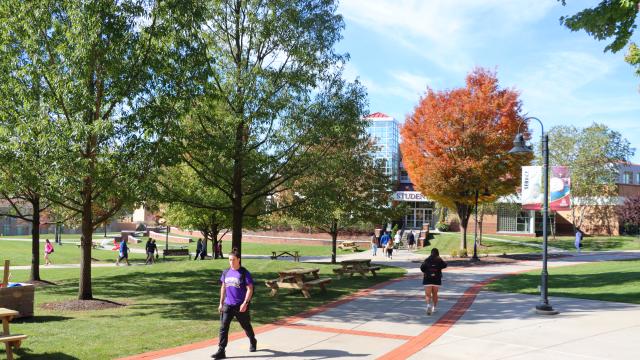 Campus beauty